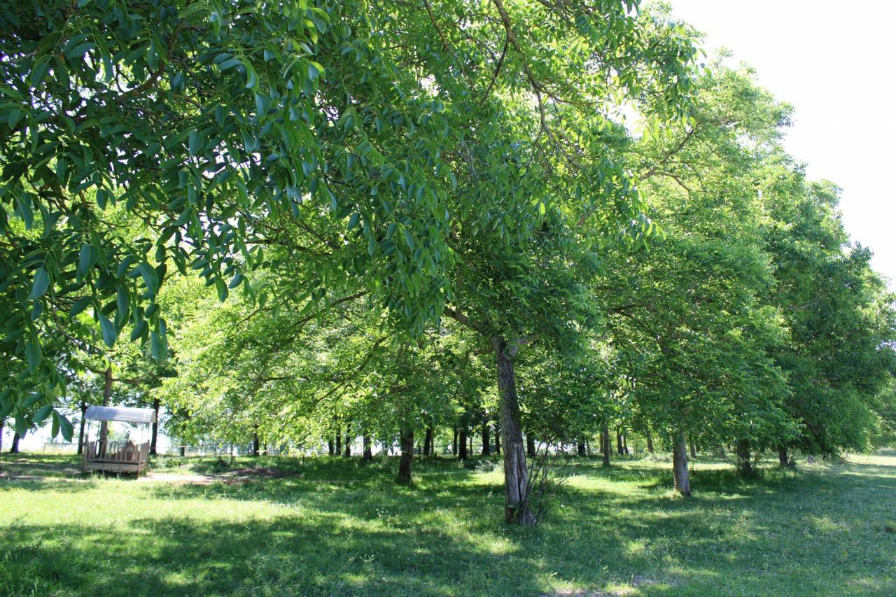PROPRIETE DE 10 HECTARES AVEC MAISON TARN ET GARONNE