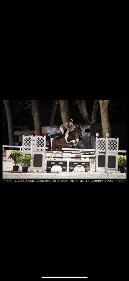  Jument CSO 10 ans &ndash; Zangersheide 