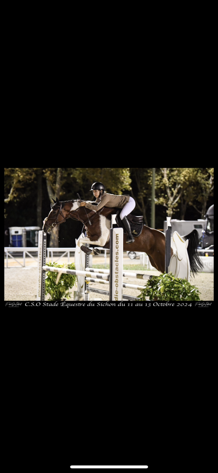  Jument CSO 10 ans &ndash; Zangersheide 