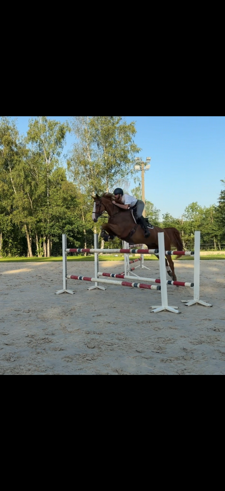 Otto 217 
