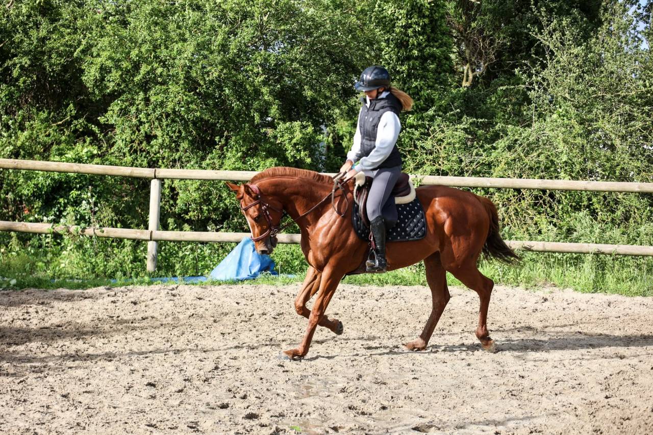 MOUDA - 1m64 - 5ans