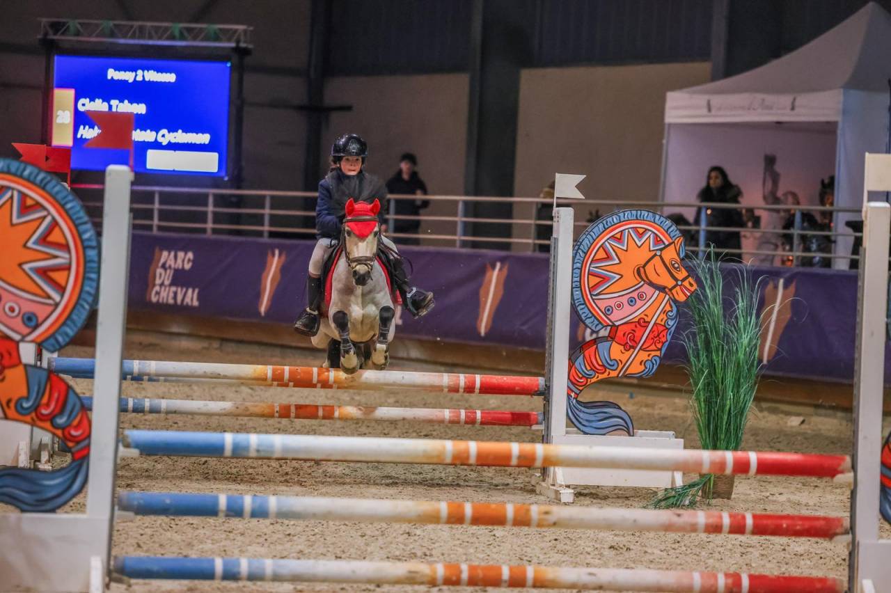 A vendre Poney B - PFS - CSO