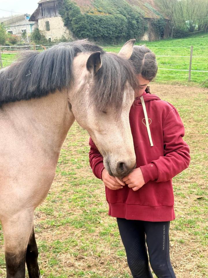 A vendre Poney B - PFS - CSO
