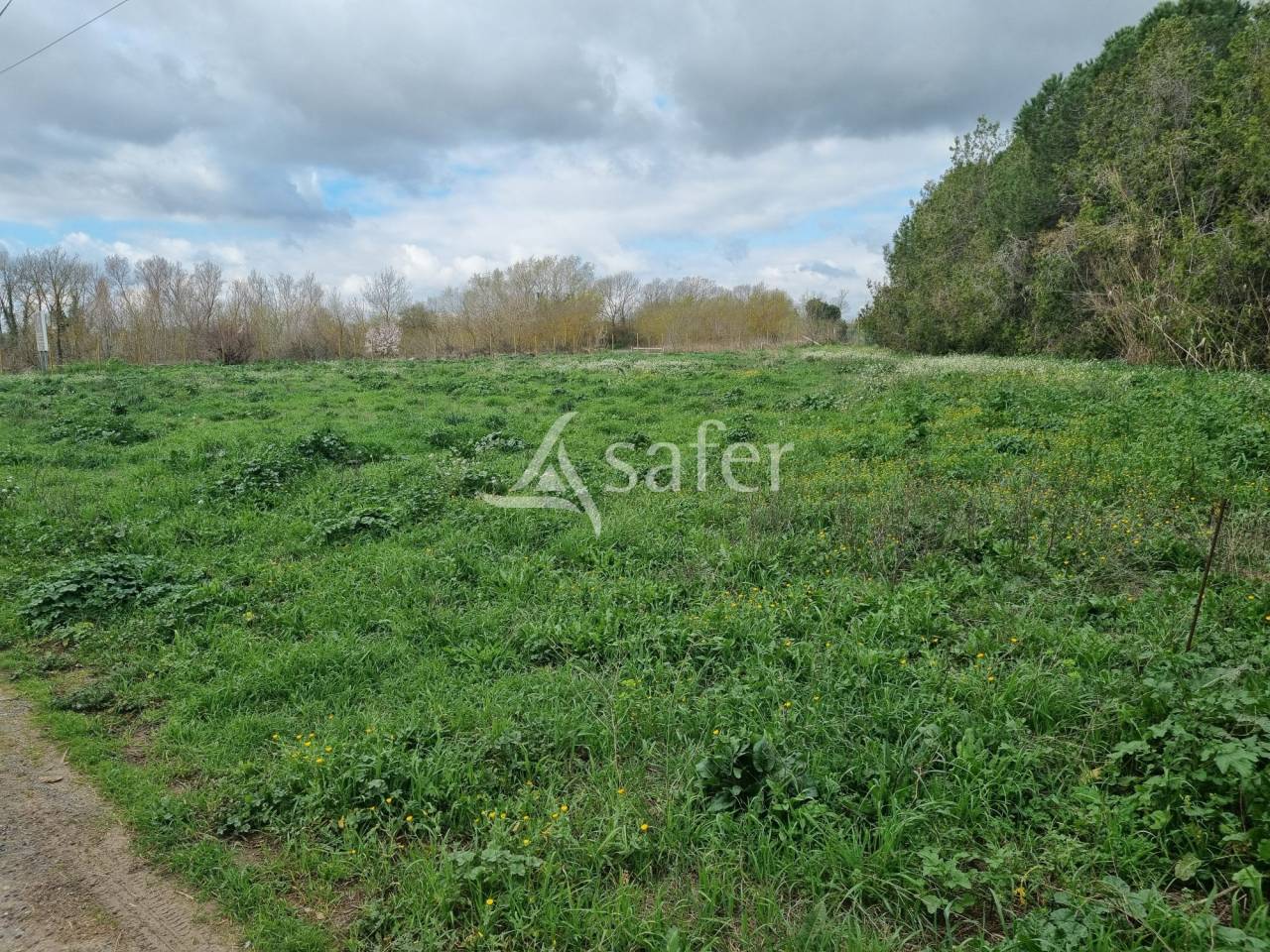 B&acirc;timent agricole sur 1.2ha -Ecuries aux portes de B&eacute;ziers