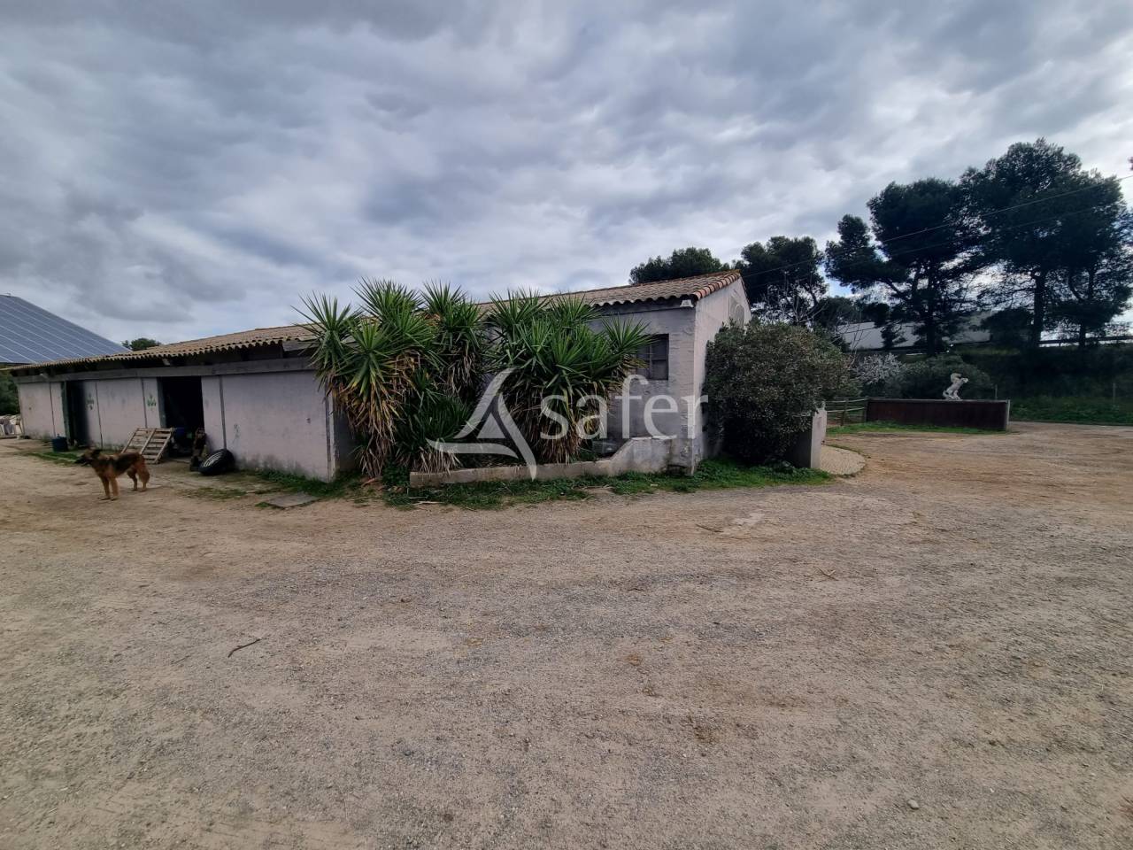 B&acirc;timent agricole sur 1.2ha -Ecuries aux portes de B&eacute;ziers