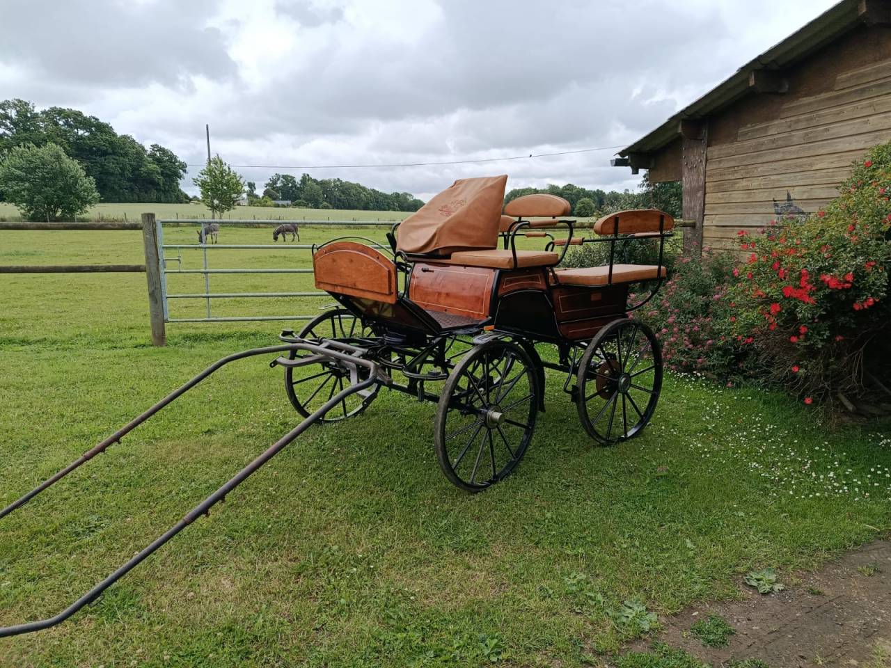 Voiture wagonette loisir