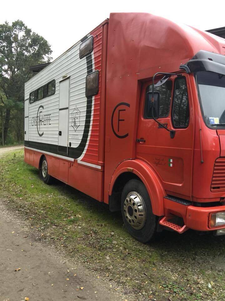 Camion PL Chevaux Mercedes  1996 Occasion
