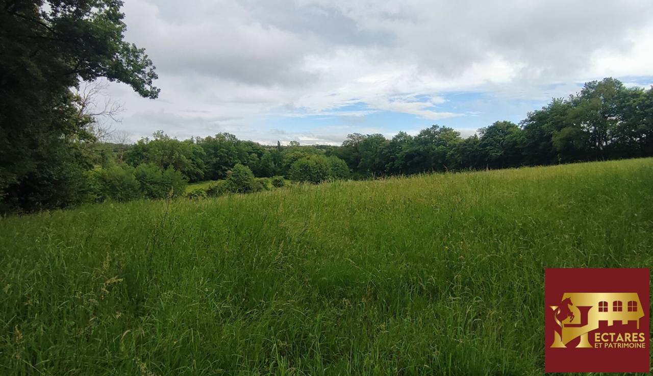 Propri&eacute;t&eacute; 21 hectares 2 habitations