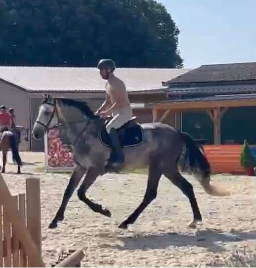 Male SF 4 ans Catchar mail x Casano