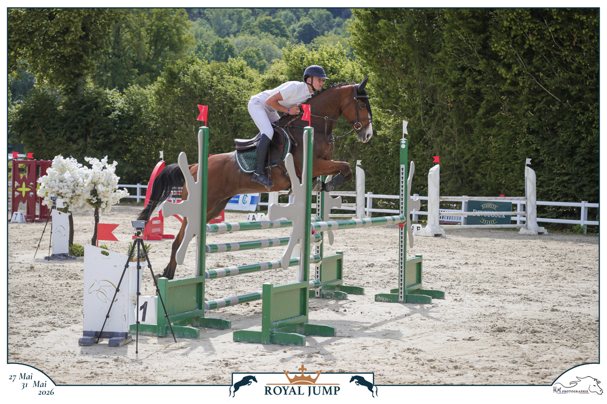 Flanelle de l&rsquo;oc&eacute;an jument 11 ans