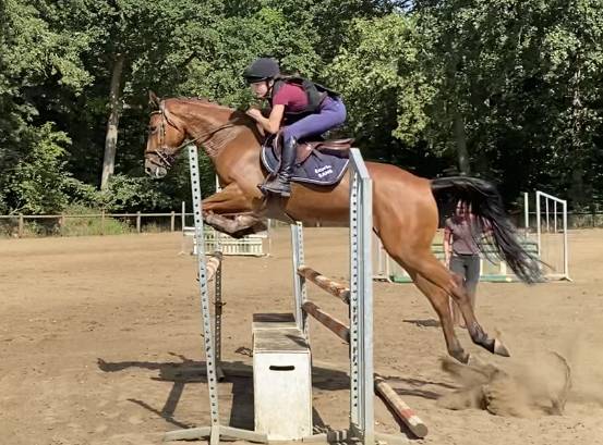 Flanelle de l&rsquo;oc&eacute;an jument 11 ans