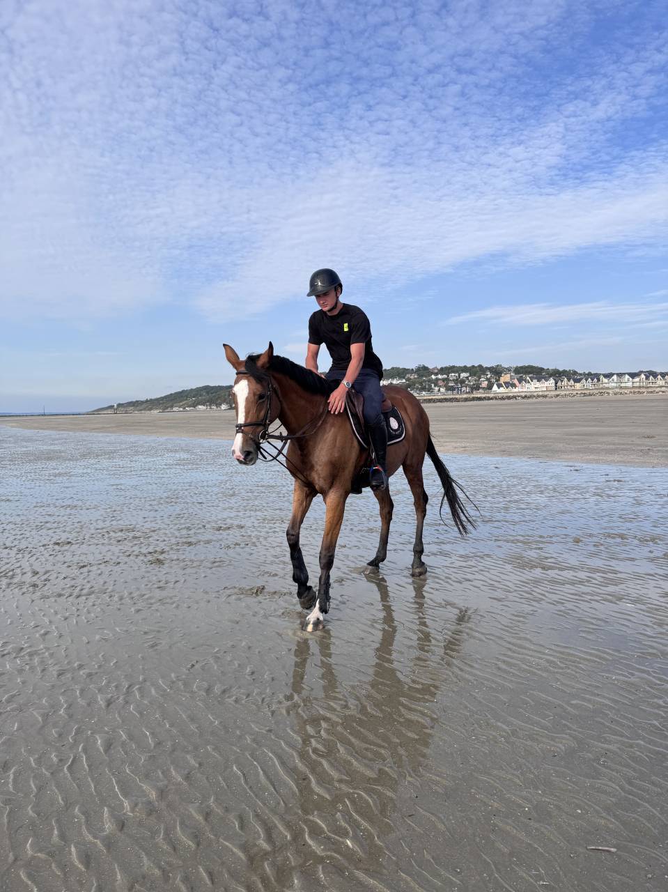 Flanelle de l&rsquo;oc&eacute;an jument 11 ans