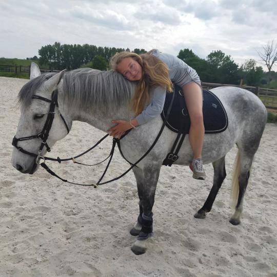 Cheval onc 2500&euro; 