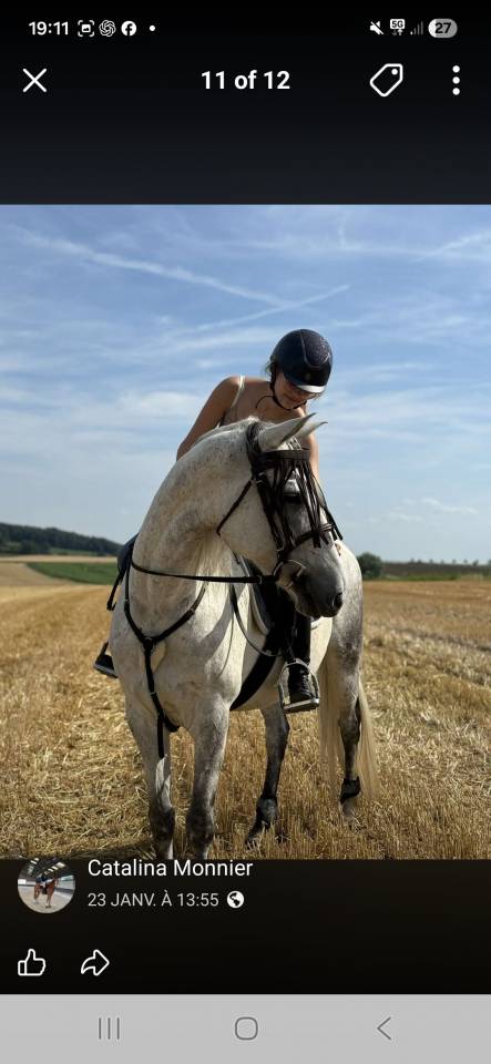 Cheval onc 2500&euro; 