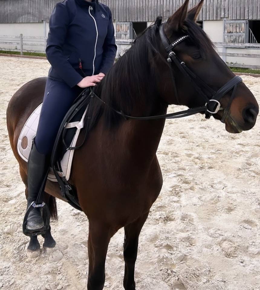 Jeune jument espagnole &agrave; vendre 