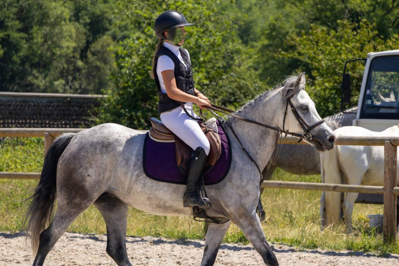 Ponette Max D 7 ans - pour AS2