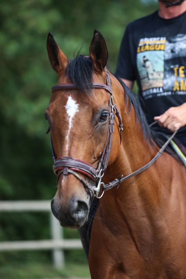DiDi - 9ans - 1m65