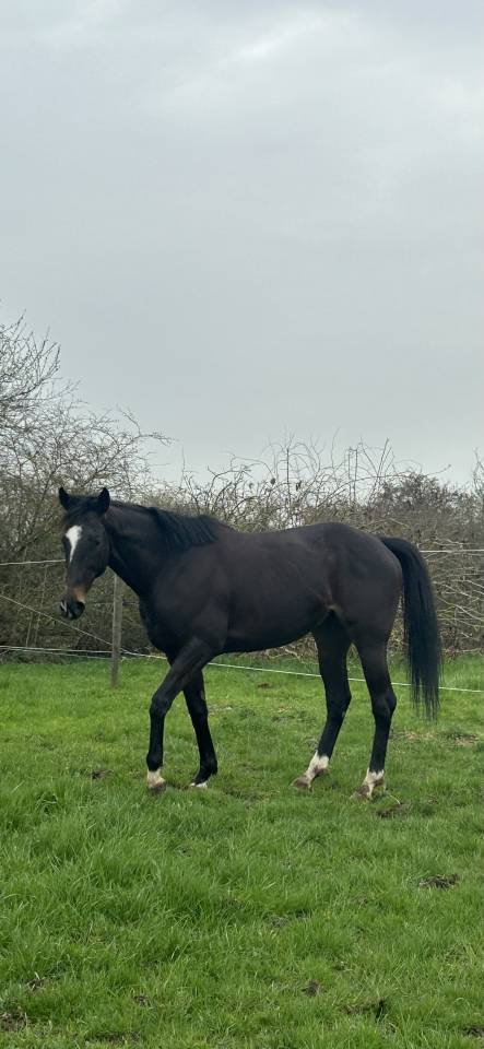 PENNY - 8ans - 1m64
