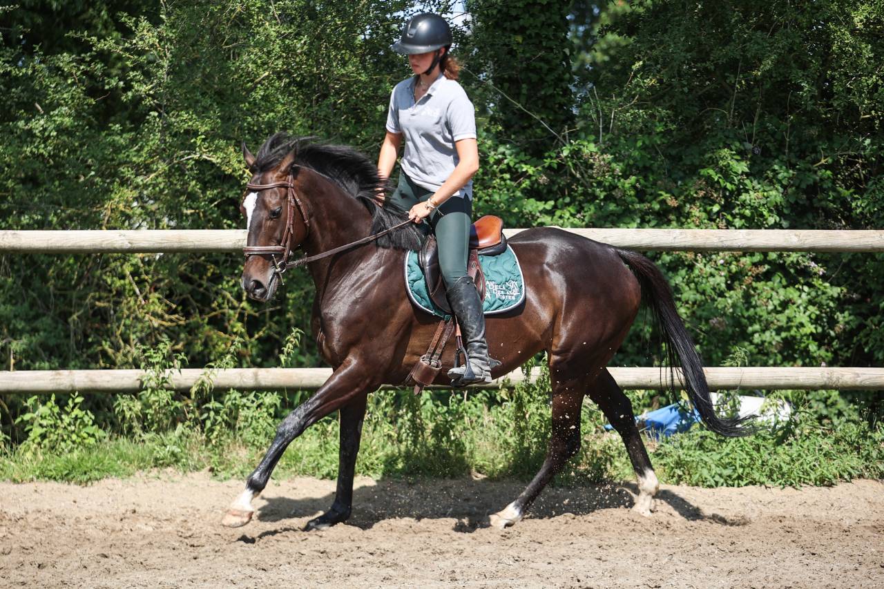 PENNY - 8ans - 1m64