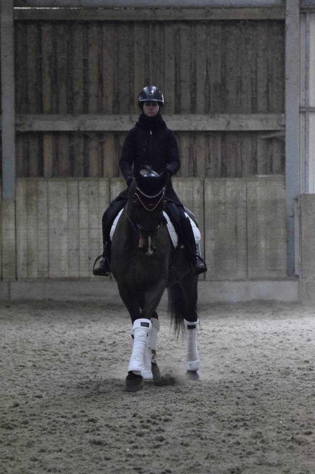 Super hongre amateur id&eacute;al cce