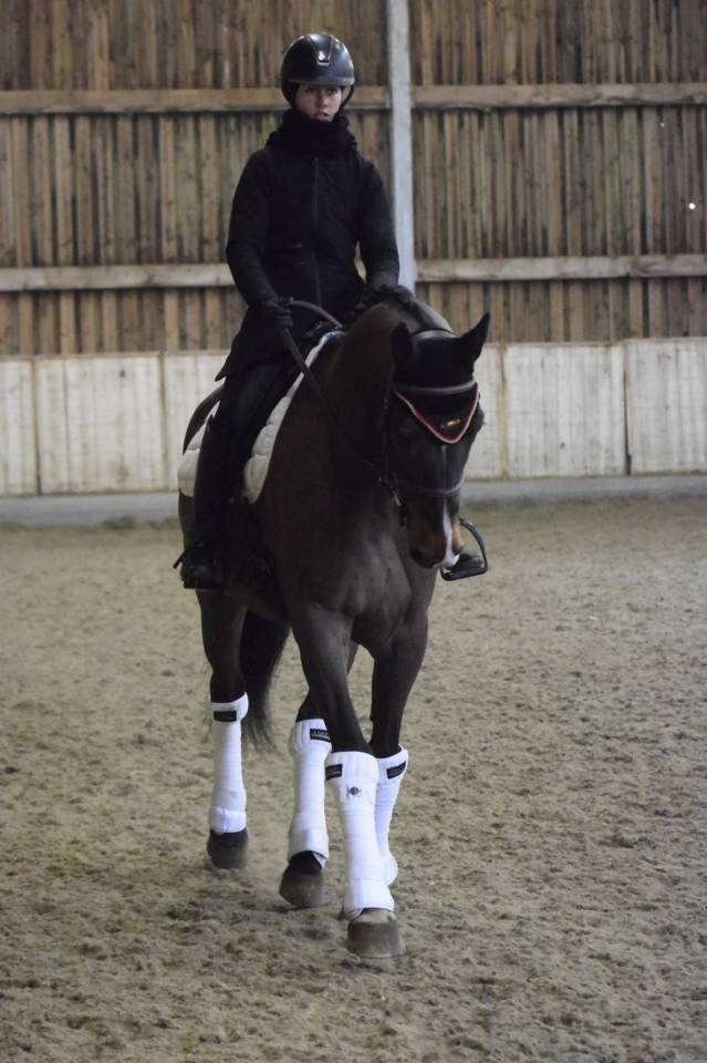 Super hongre amateur id&eacute;al cce