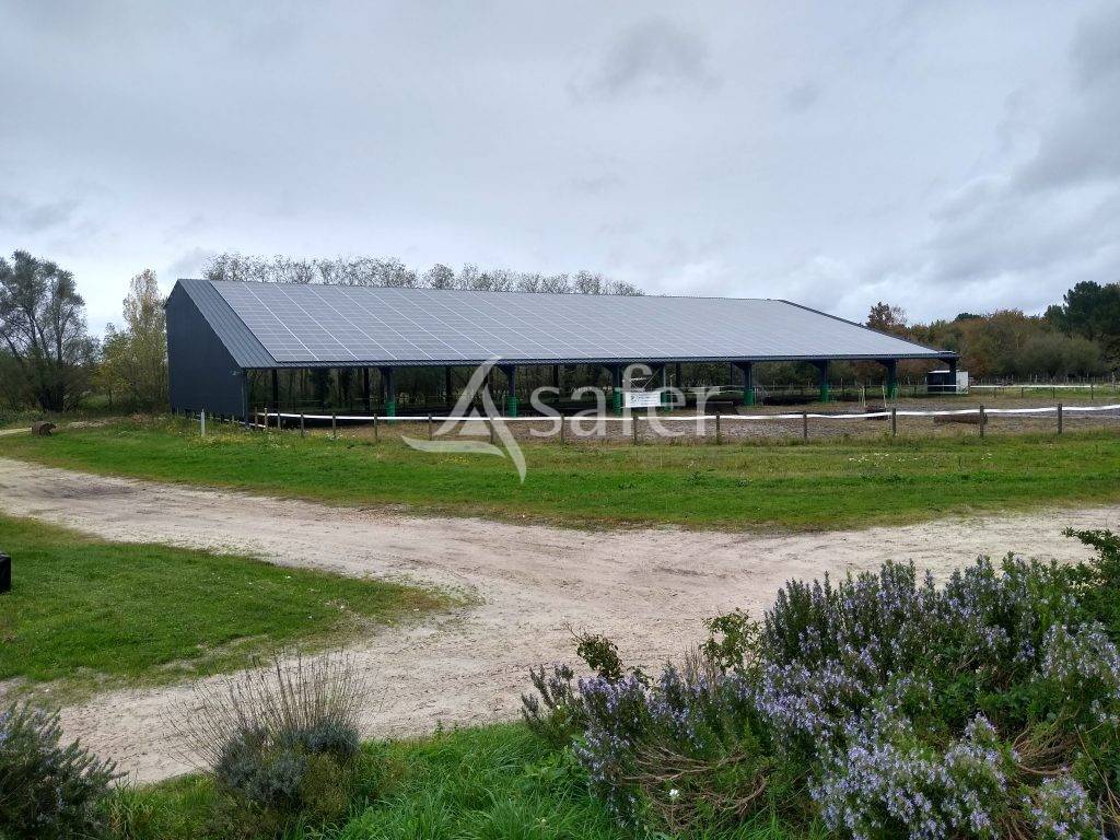 Propri&eacute;t&eacute; EQUESTRE proche Bordeaux &agrave; reprendre!