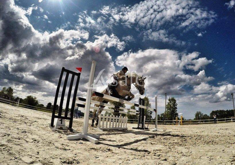 Propri&eacute;t&eacute; EQUESTRE proche Bordeaux &agrave; reprendre!