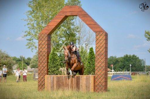 Propri&eacute;t&eacute; EQUESTRE proche Bordeaux &agrave; reprendre!