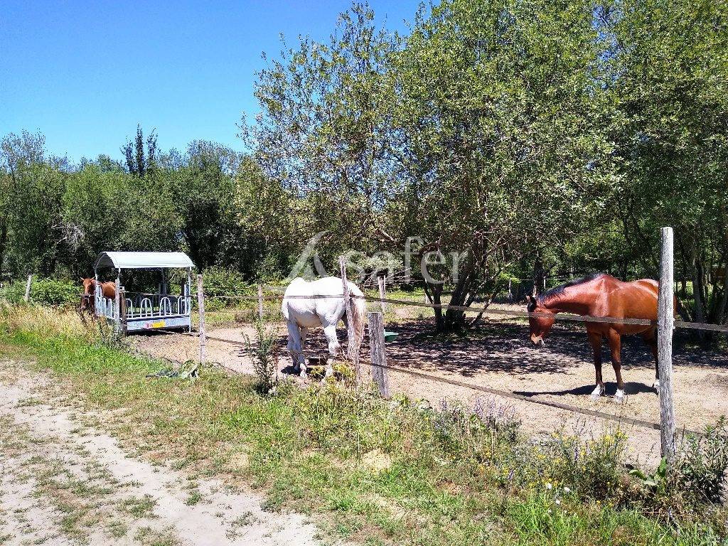 Propri&eacute;t&eacute; EQUESTRE proche Bordeaux &agrave; reprendre!