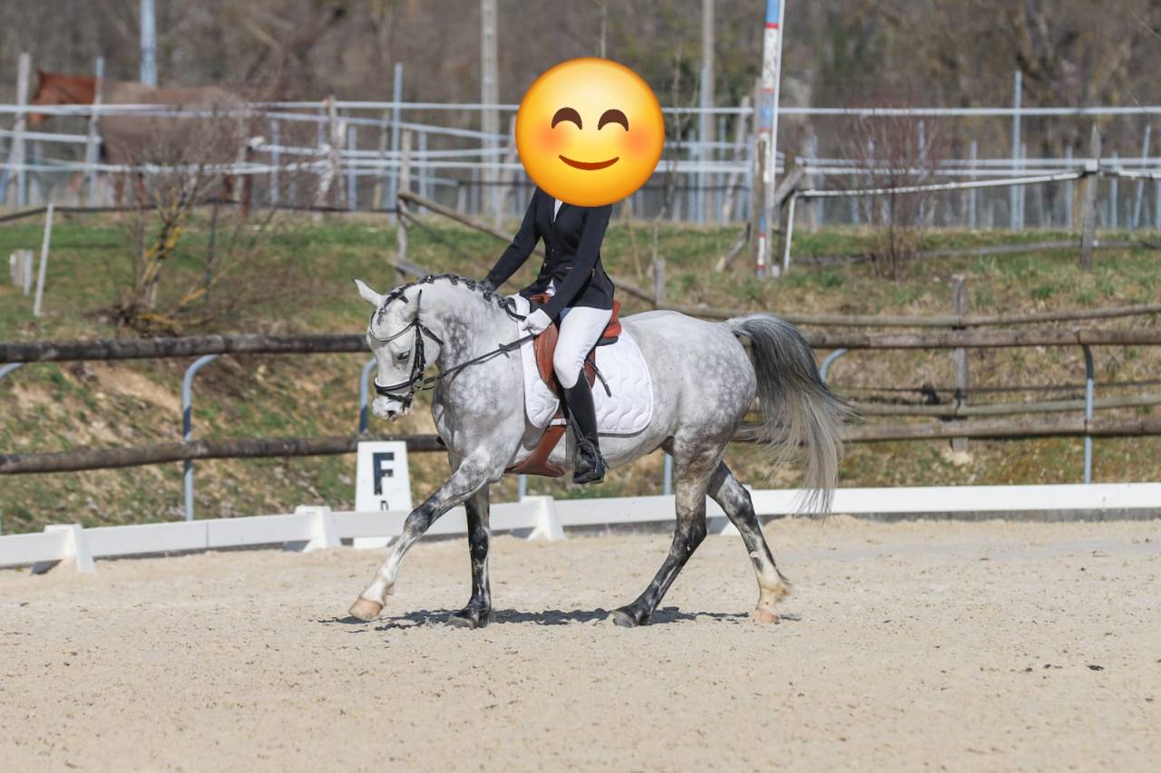 PSF D 8ans polyvalent 