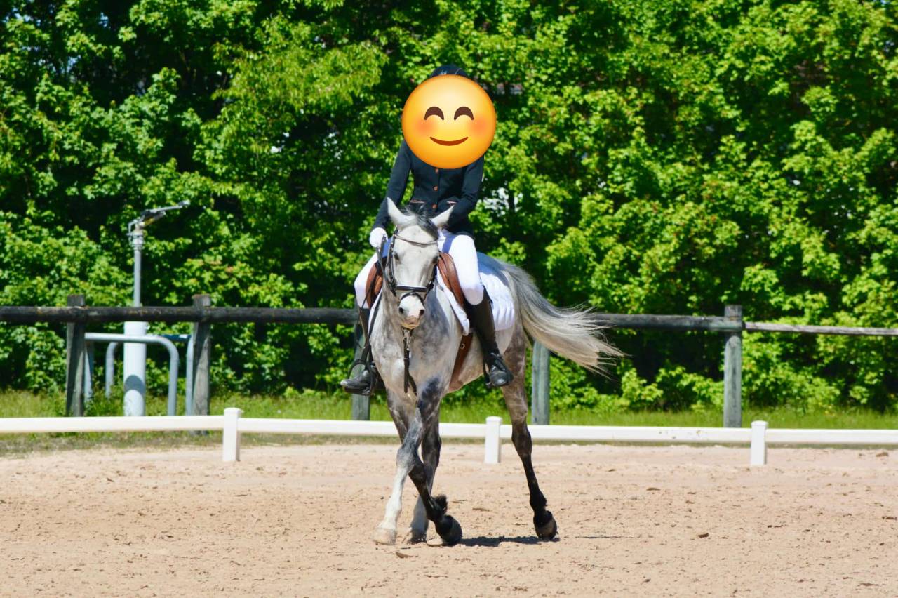 PSF D 8ans polyvalent 