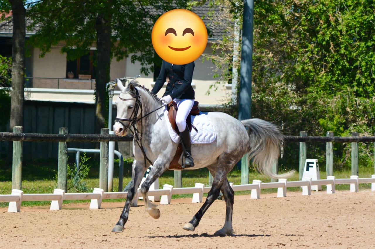 PSF D 8ans polyvalent 