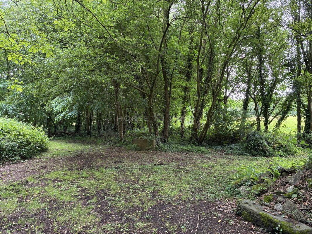 Propri&eacute;t&eacute; en pierre avec g&icirc;te ind&eacute;pendant sur 2 hectares &agrave;