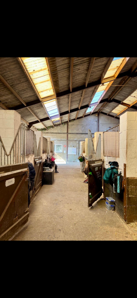 ? Places disponibles - IG Sports Horses ?