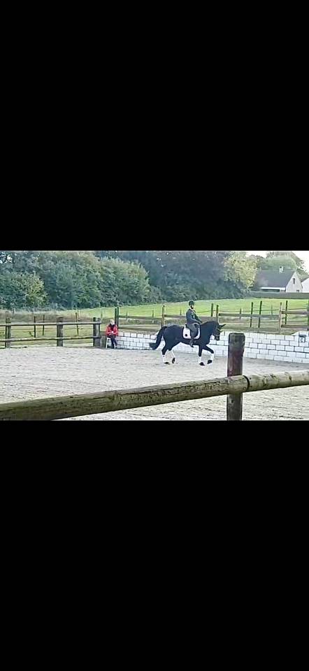? Places disponibles - IG Sports Horses ?