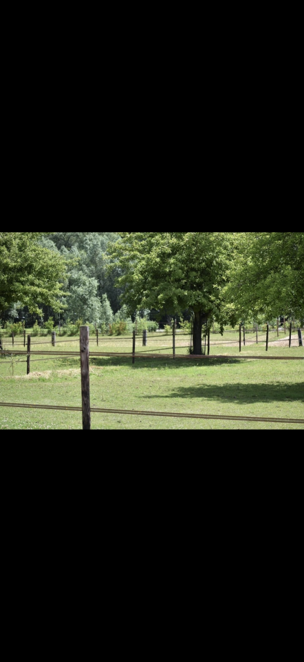 ? Places disponibles - IG Sports Horses ?