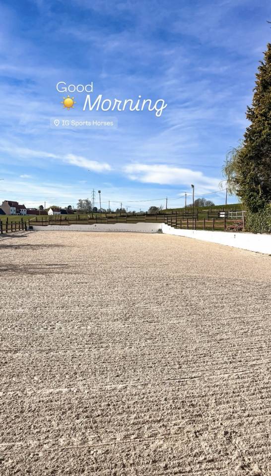 Couloir de boxes disponible - IG Sports Horses 