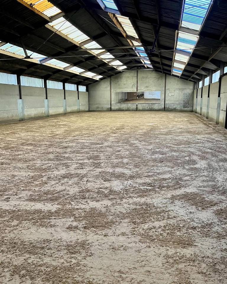 Couloir de boxes disponible - IG Sports Horses 