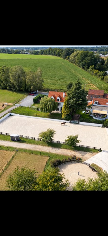 Nouvelles formules de pension - IG Sports Horses