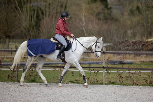 Tr&egrave;s chouette cheval de loisirs