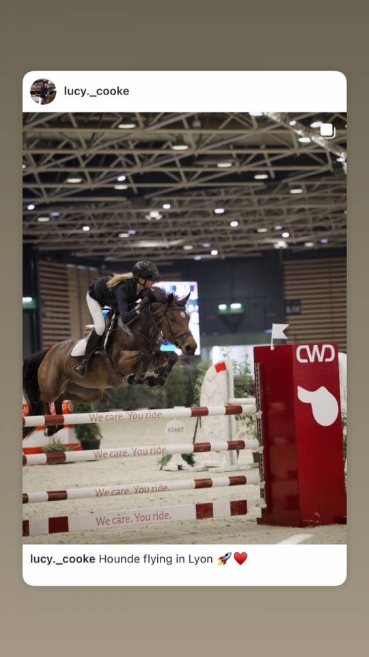 Poney de CSO performant &agrave; vendre 
