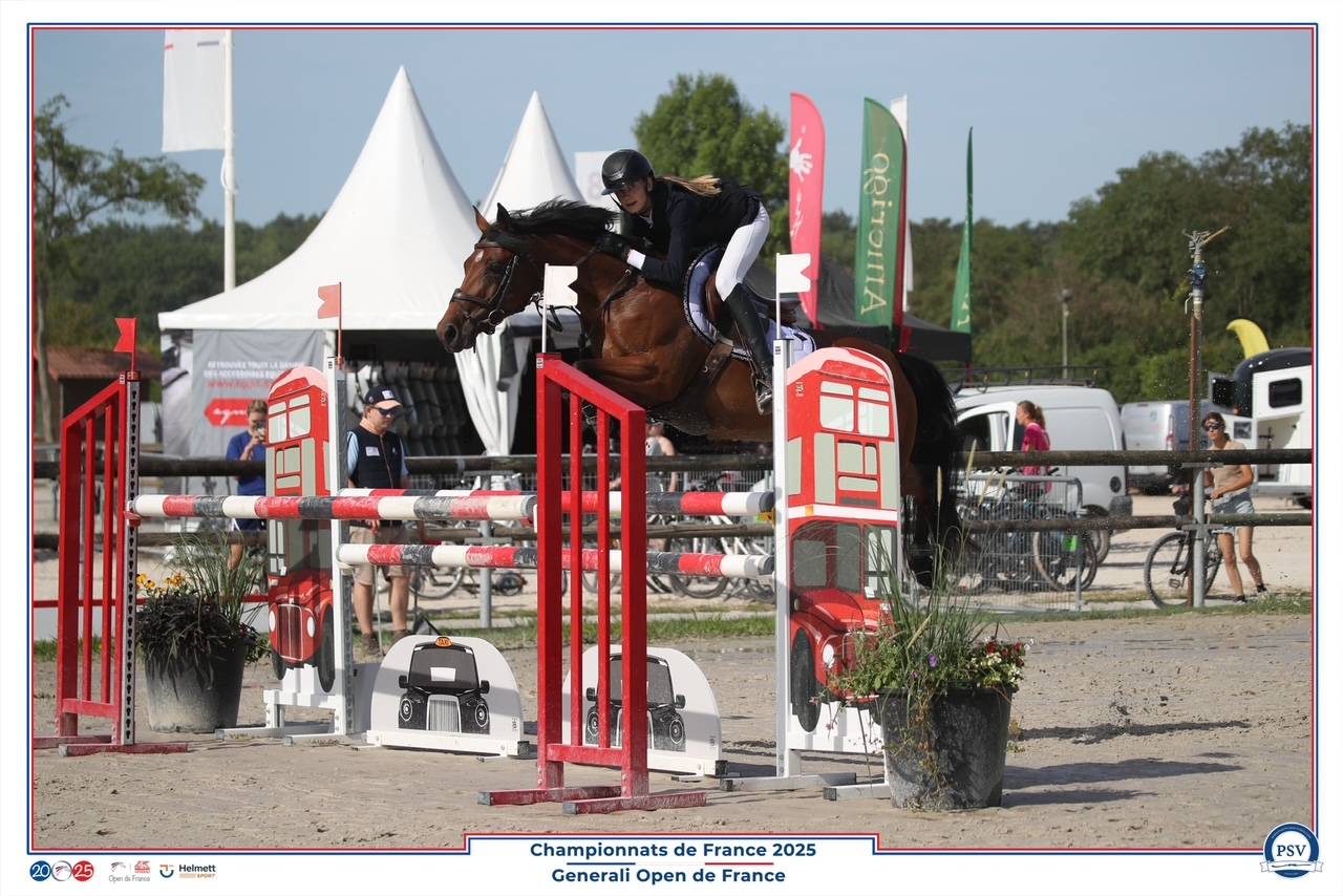 Poney de CSO performant &agrave; vendre 