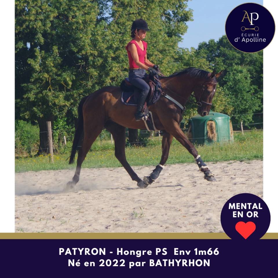 4 ans env 1m66 mental en or