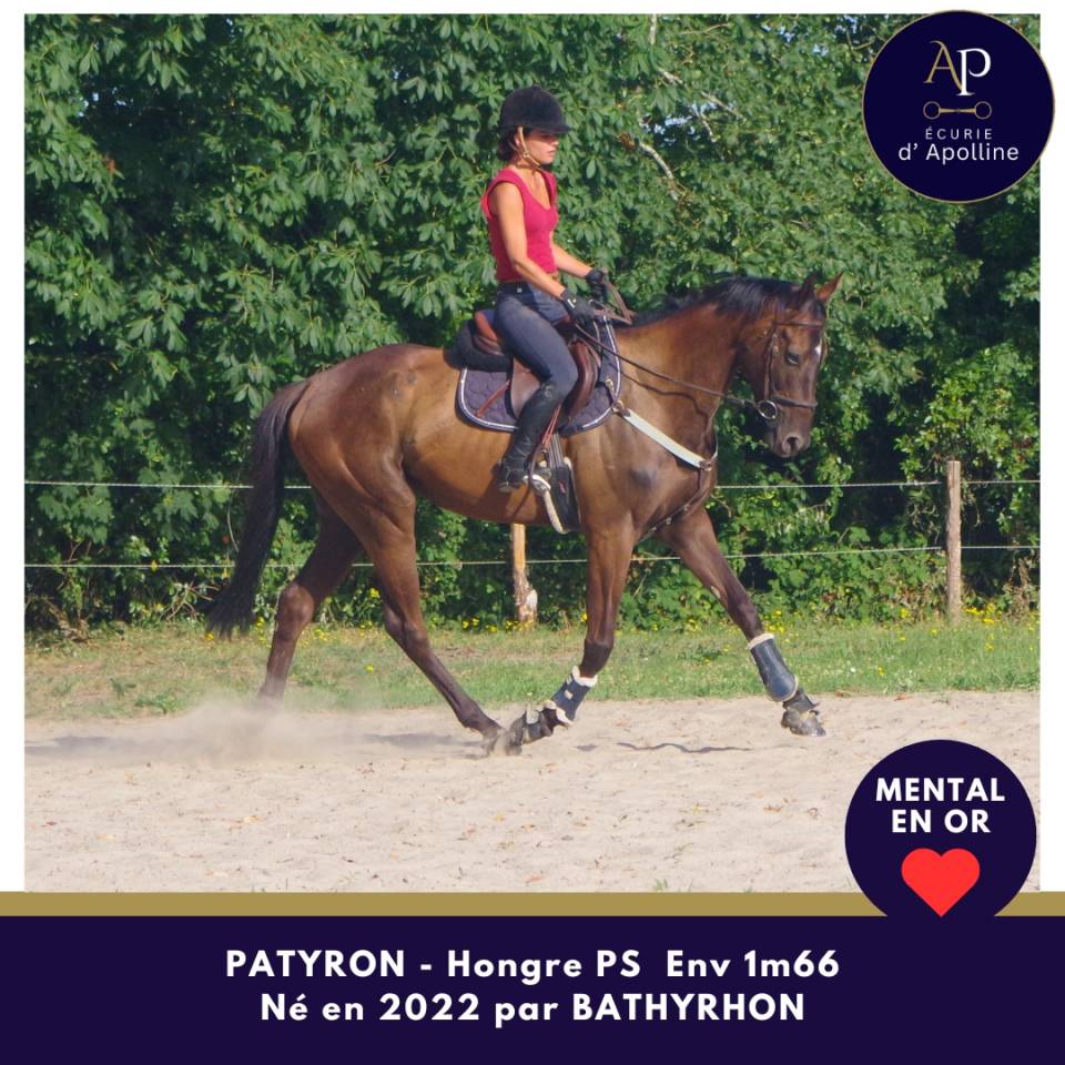 4 ans env 1m66 mental en or