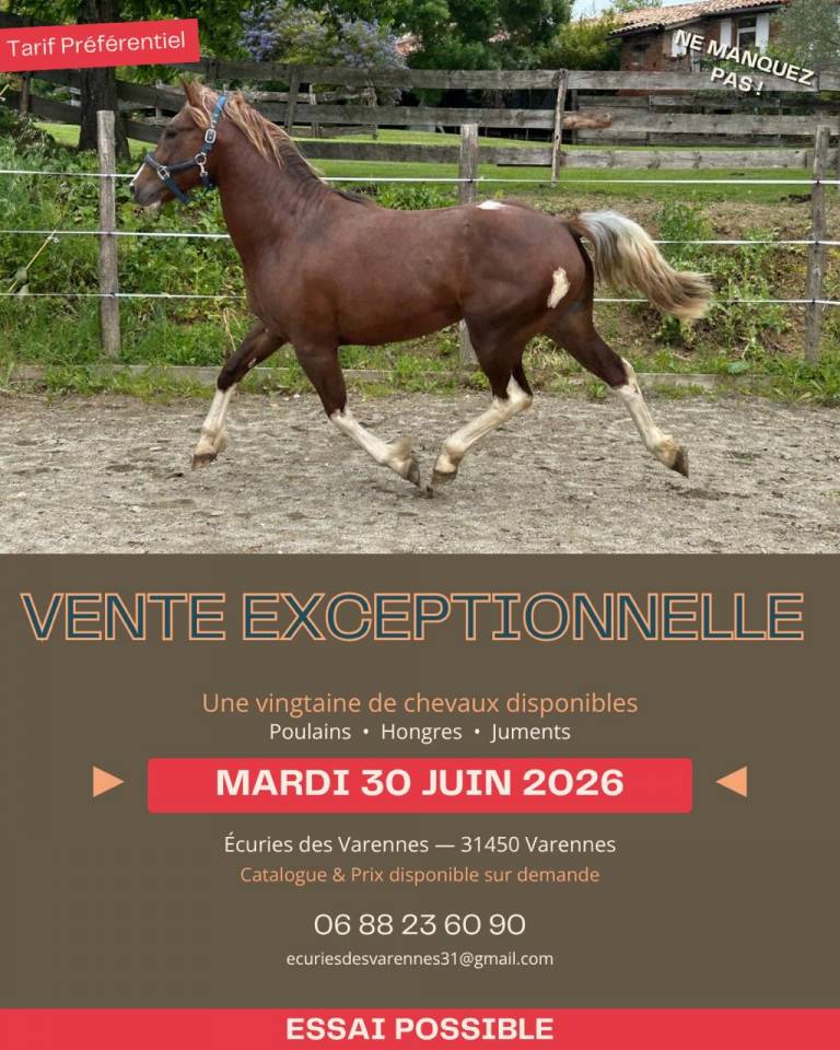 VENTE EXCEPTIONNELLE
