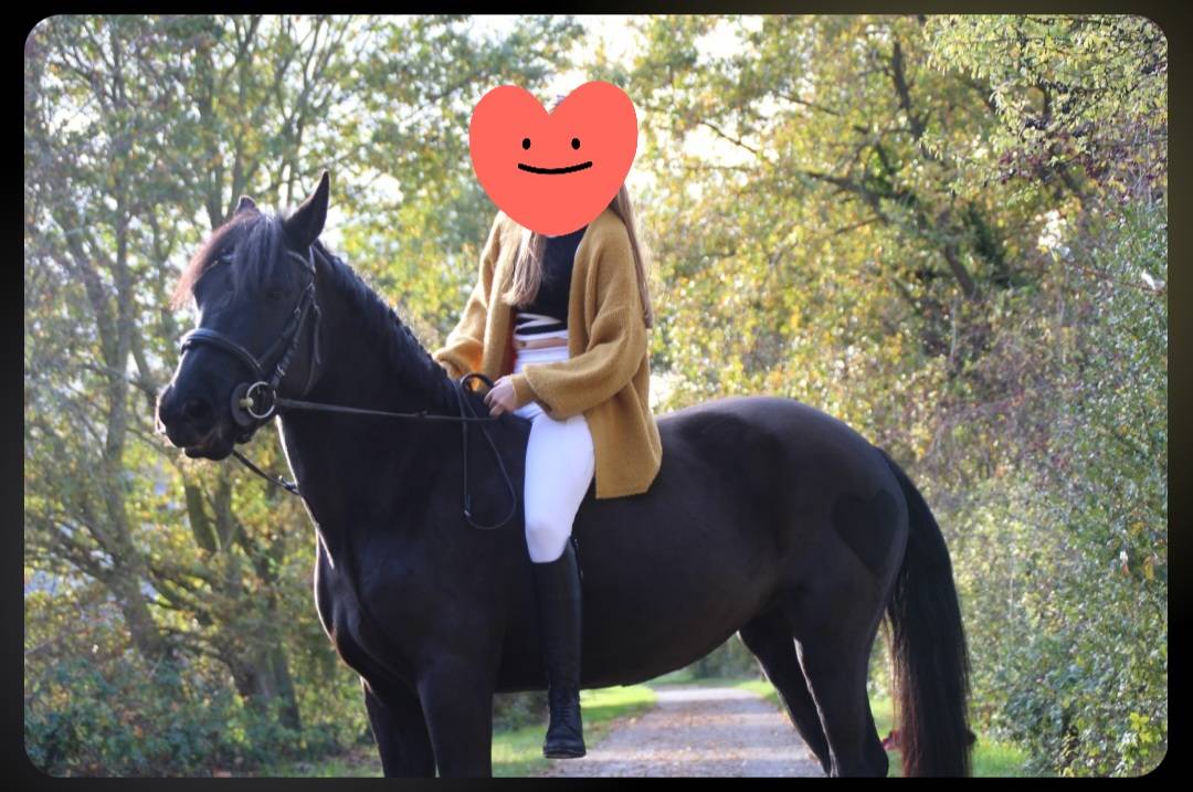 JUMENT -6 ans