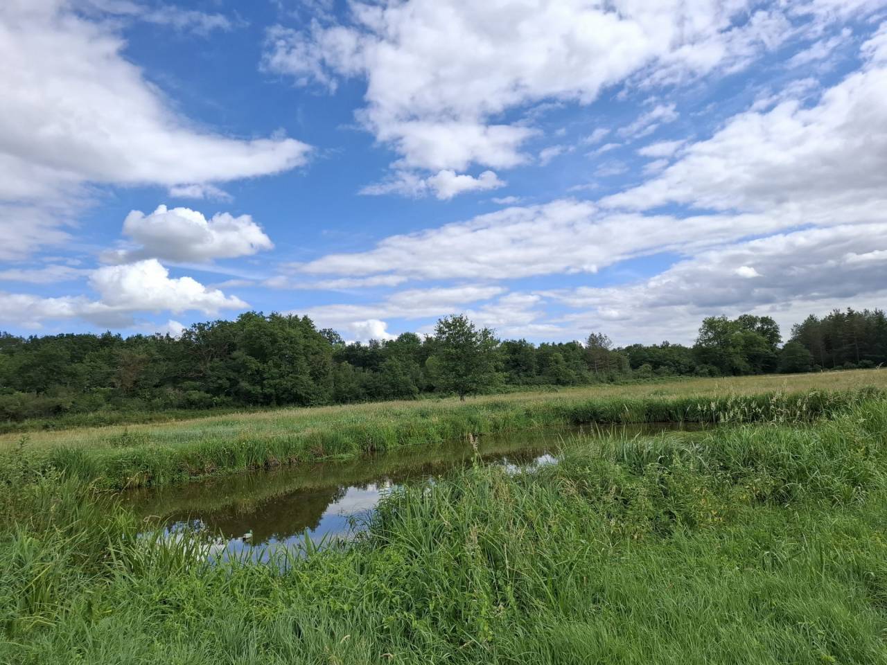 Propri&eacute;t&eacute; &eacute;questre de caract&egrave;re sur plus de 5 hectares  S