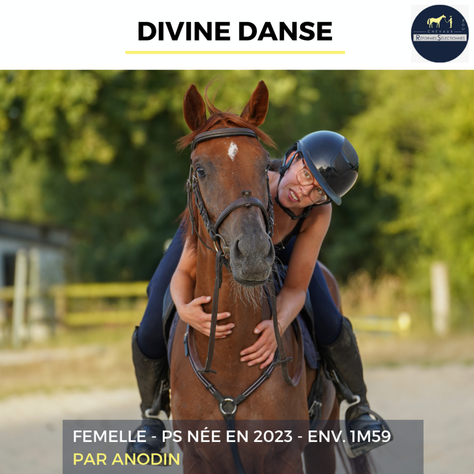 DIVINE DANSE - PS - 3 ANS