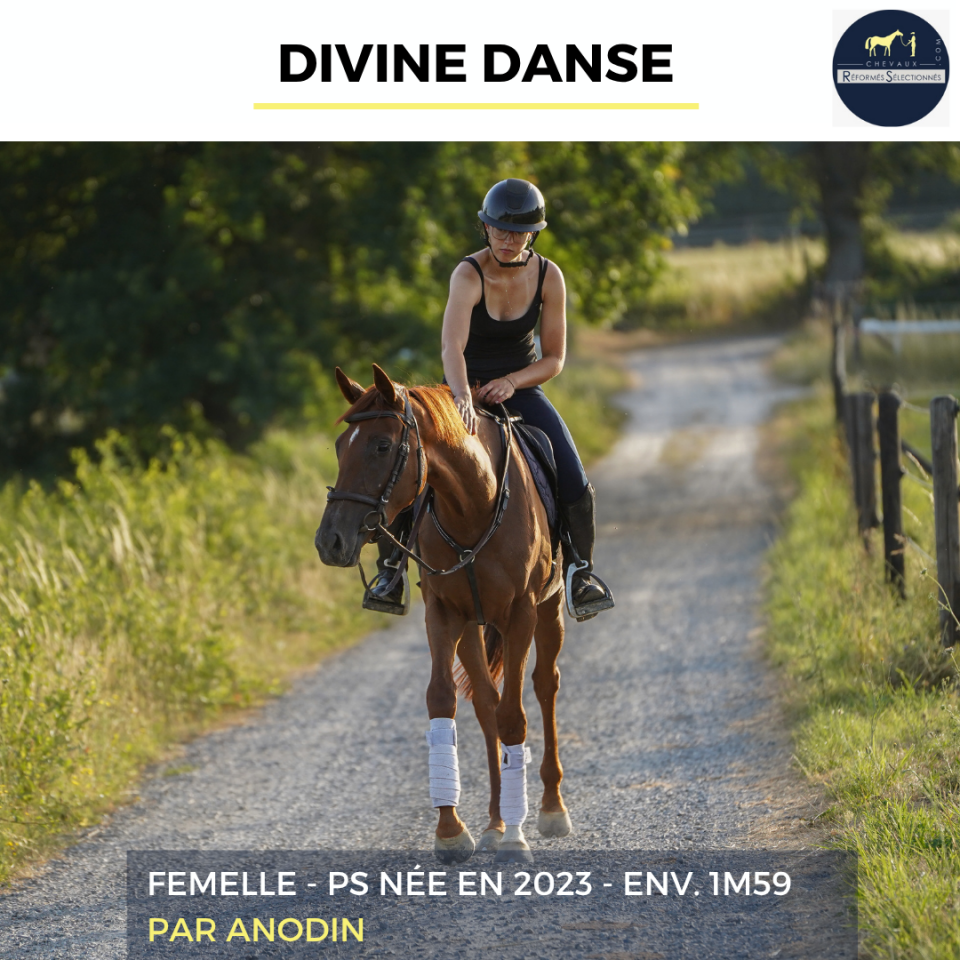 DIVINE DANSE - PS - 3 ANS