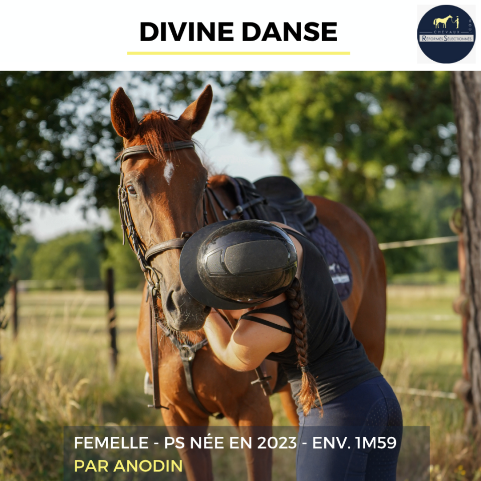 DIVINE DANSE - PS - 3 ANS